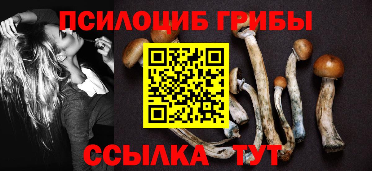 Галлюциногенные грибы Psilocybe  Вход с VPN  Псилоцибиновые грибы GOLDEN TEACHER  Мурино 